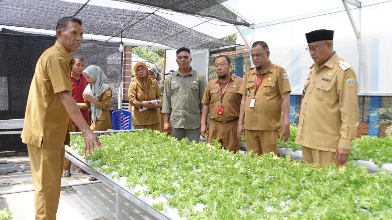 Walikota Resmikan Gura Gam Tanaman Hidroponik Desa Mare Gam
