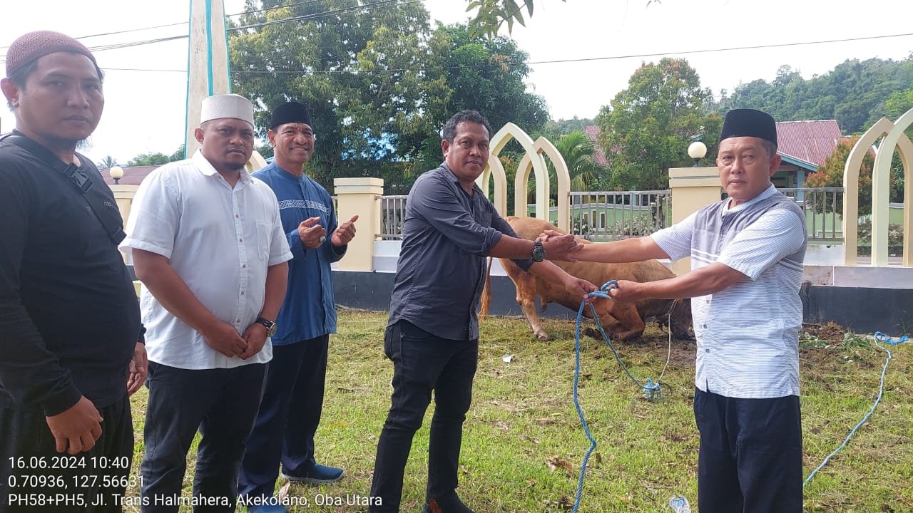 Pj Gubernur Malut Serahkan Sapi Qurban Bantuan Presiden di Ake Kolano