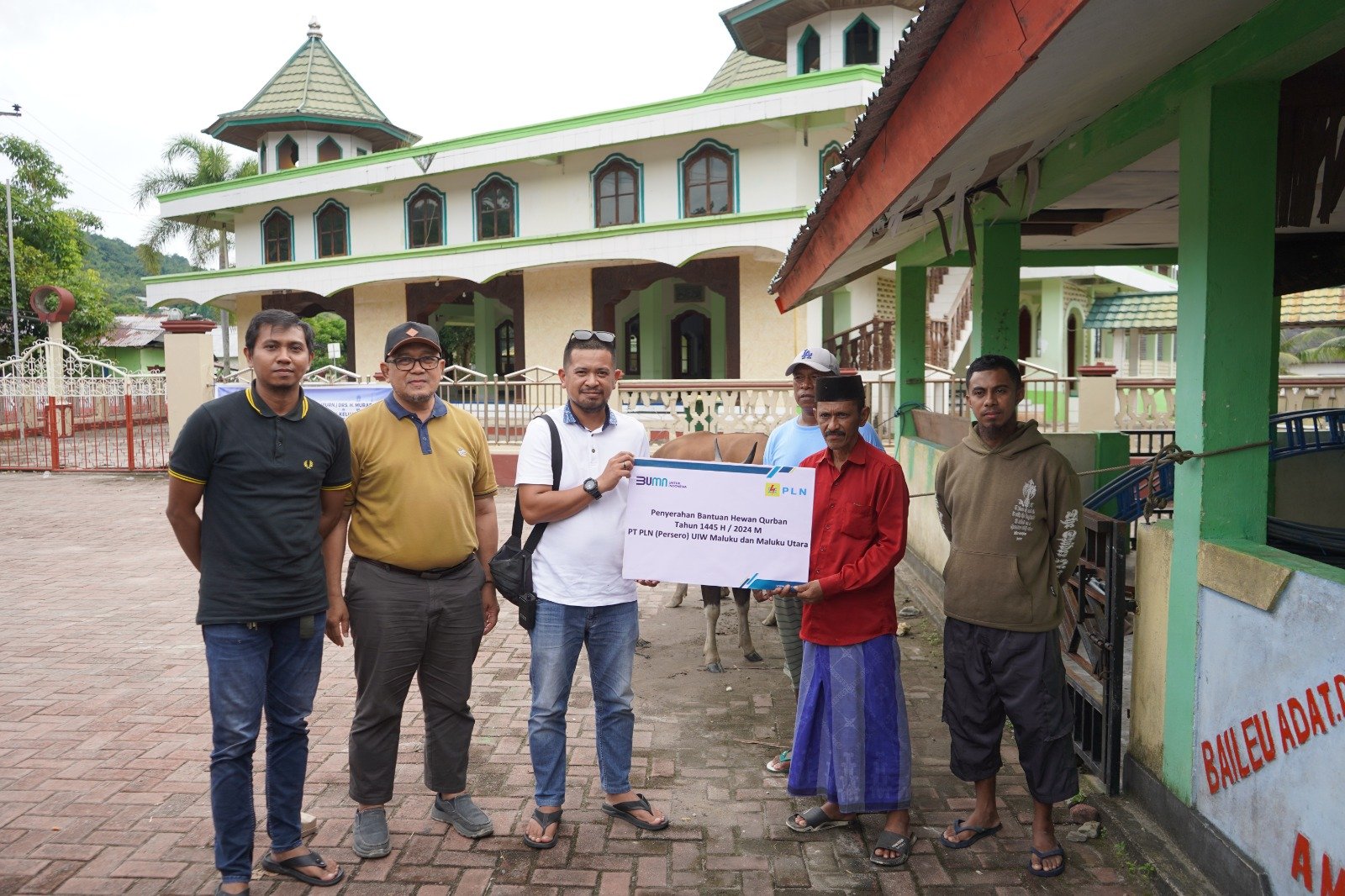 PLN UIW MMU Salurkan 77 Ekor Sapi dan 2 Ekor Kambing untuk Masyarakat di Maluku dan Maluku Utara
