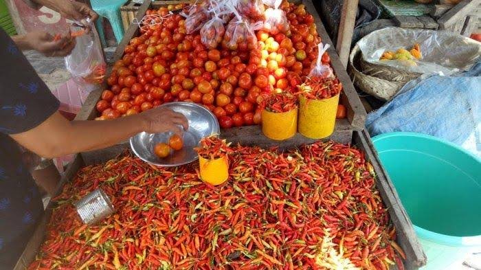 Jelang Idul Adha, Stok Rica Dan Tomat Dari Petani Masih Bisa Memenuhi Kebutuhan Masyarakat