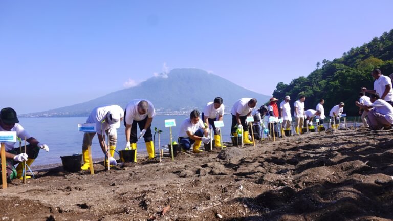 Peringati Hari Mangrove Sedunia, Sekda Tidore Hadiri Penanaman Pohon Mangrove Yang Digagas PLN