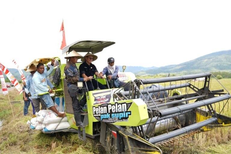 Laksanakan Tugas Pertama, Pj. Sekda  Malut Panen Padi Sawah  di Haltim