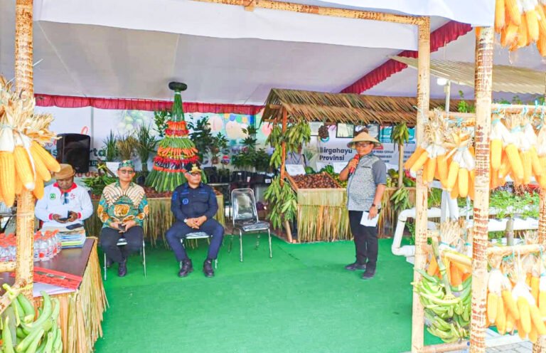 25 Tahun Maluku Utara, Dinas Pertanian Fokus Kembangkan Sektor Pertanian