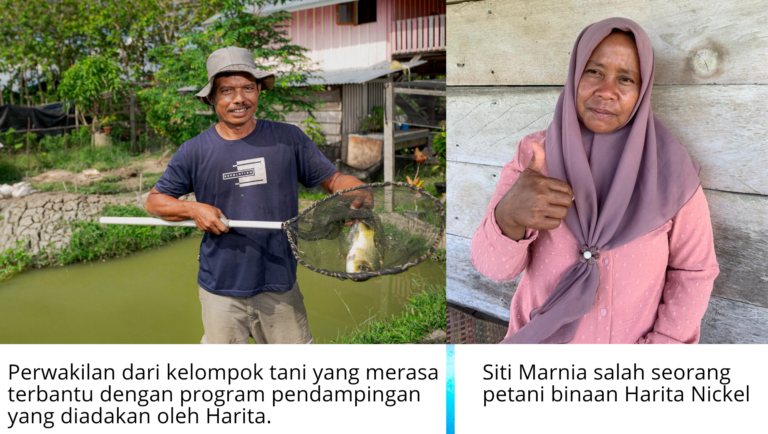 Cerita Nia dan Bambang, Petani Binaan Harita Nickel yang Sukses Jadi Pemasok Bahan Pangan
