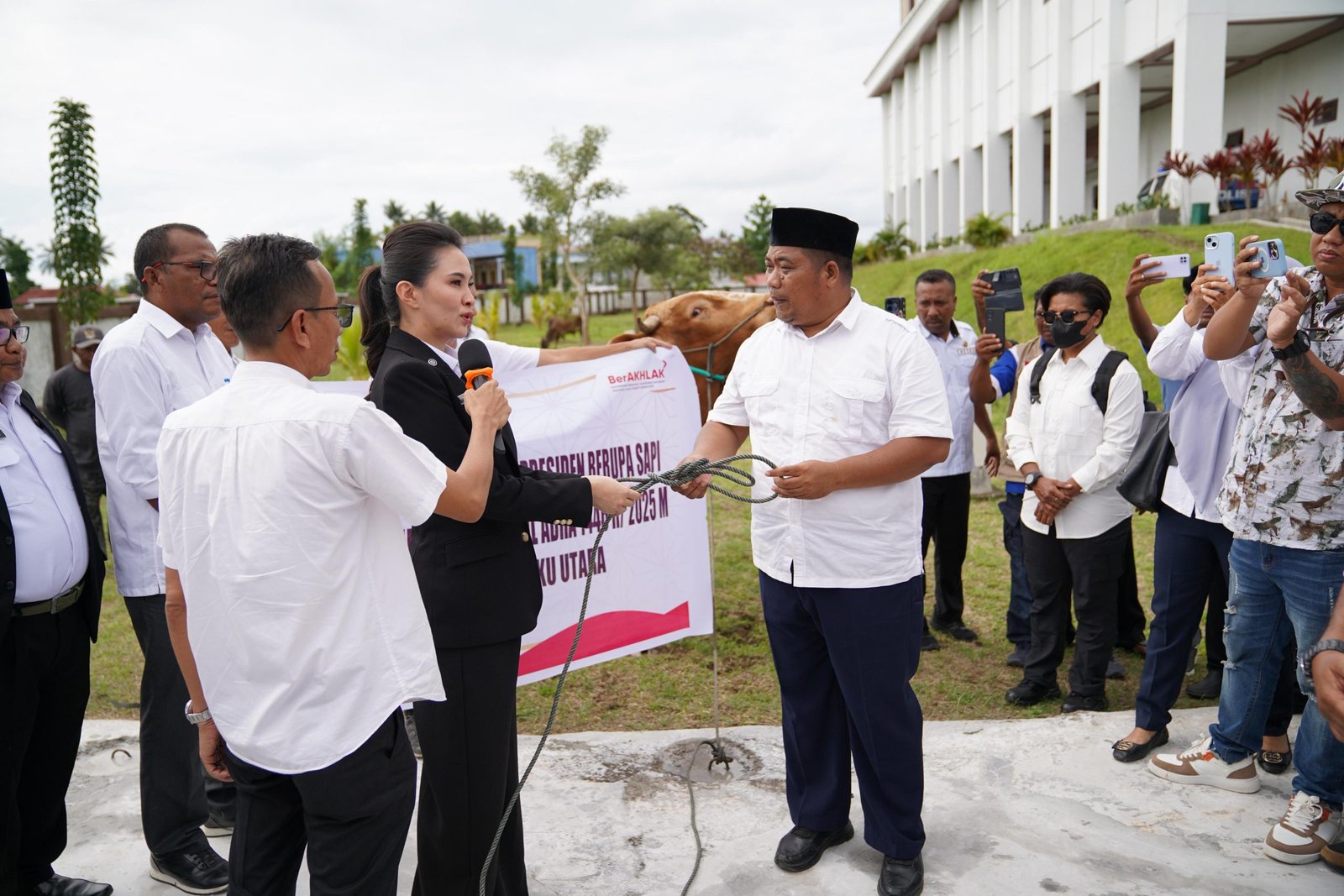 Sherly Tjoanda Resmi Salurkan 11 Ekor Sapi Hewan Qurban Bantuan Presiden