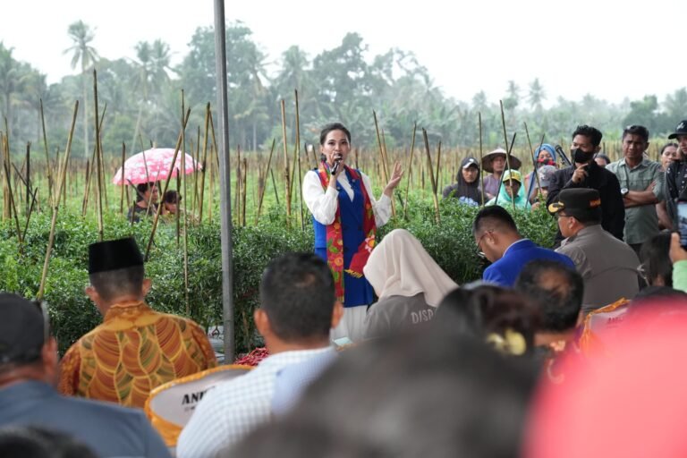 Gubernur Maluku Utara Jaga Kemandirian Pangan, Hadiri Panen Raya Cabai di Halmahera Utara
