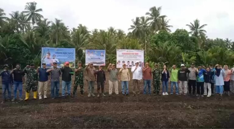 Bersama Dirjen Perkebunan Kementan RI, Pemkot Tidore Kembali Melakukan Penanaman Padi Gogo