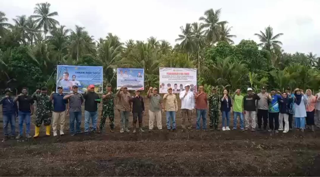 Bersama Dirjen Perkebunan Kementan RI, Pemkot Tidore Kembali Melakukan Penanaman Padi Gogo