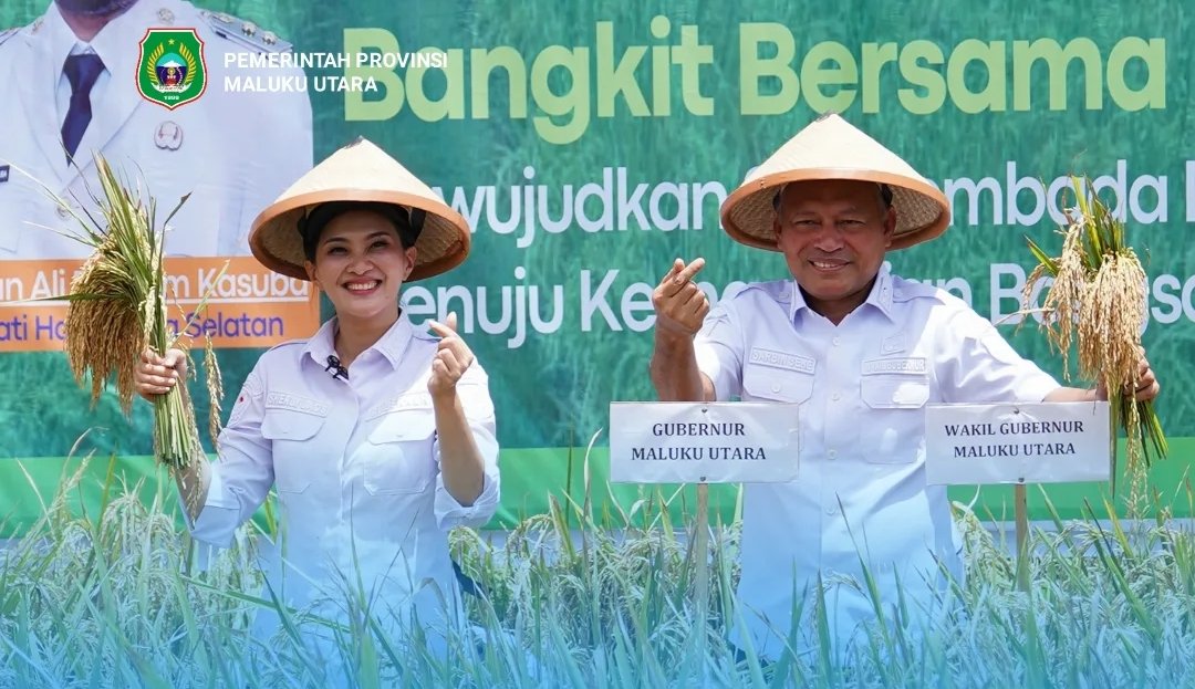 Panen Raya di Gane Timur, Maluku Utara Jadi Tonggak Swasembada Pangan