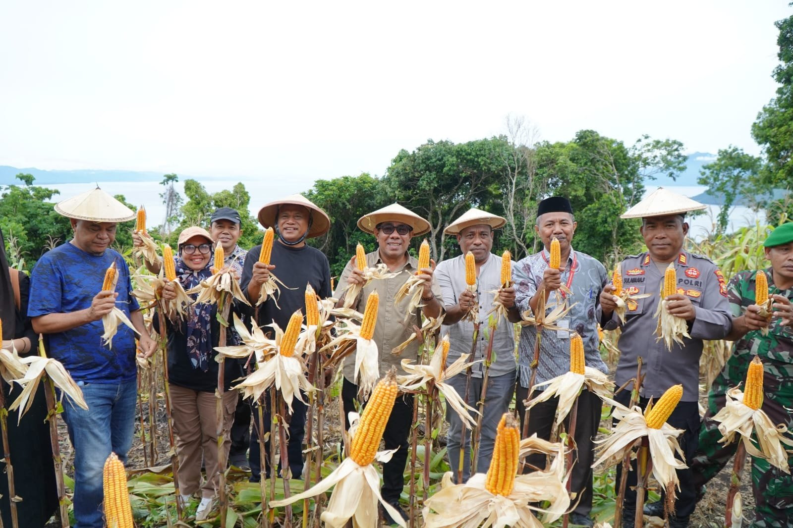 Mendukung Ketahanan Nasional, Kelompok Tani Pelopor Gurabati Gelar Panen Raya Jagung