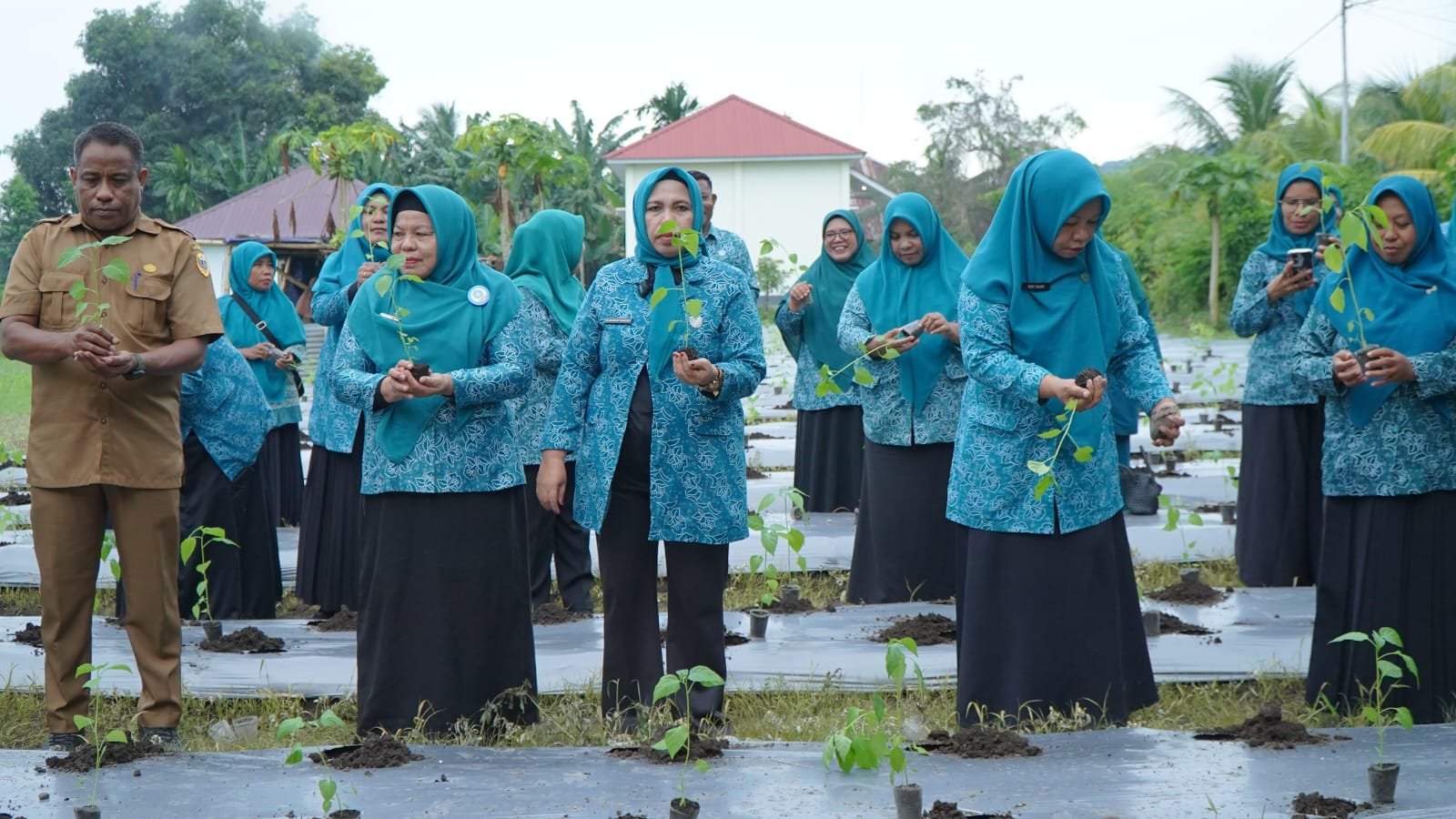 Membantu Menekan Angka Inflasi, PPK Kota Tidore Berpartisipasi Dalam Gertam Cabe