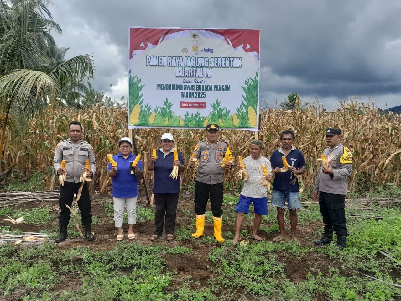 Panen Jagung Melimpah, Petani Hero Ino dan Polsek Tobelo Selatan Rayakan Panen Raya 2025