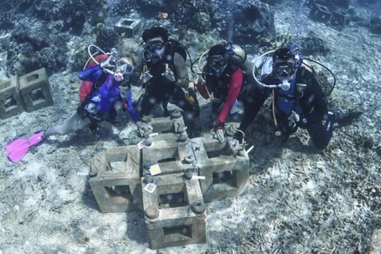 Eksplorasi Marischka Prudence Ungkap Pesona Tersembunyi di Laut Pulau Obi