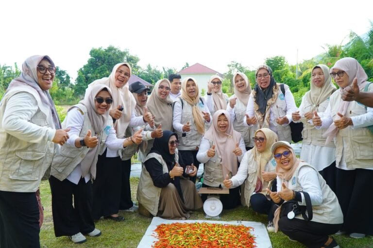 TIM Penggerak PKK Tidore Kepulauan Panen Perdana Cabe Hasil Gerakan Tanam Cabe Serentak