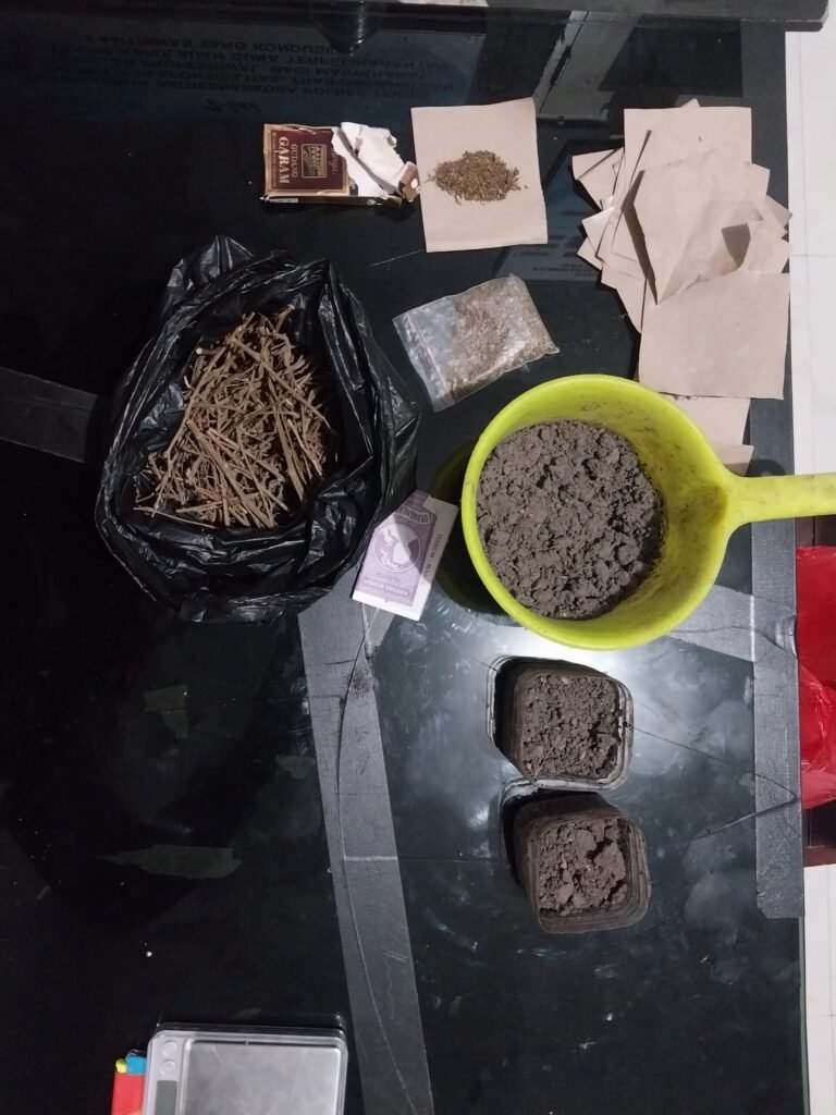 Sat Resnarkoba Polresta Tidore Berhasil Ungkap Peredaran Narkoba di Dua Lokasi Berbeda